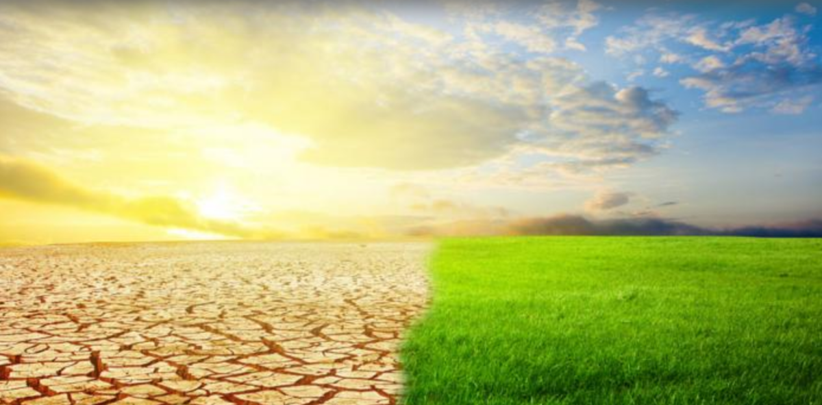 Screen Shot 2019-01-19 at 3.10.06 PM.png (Full)